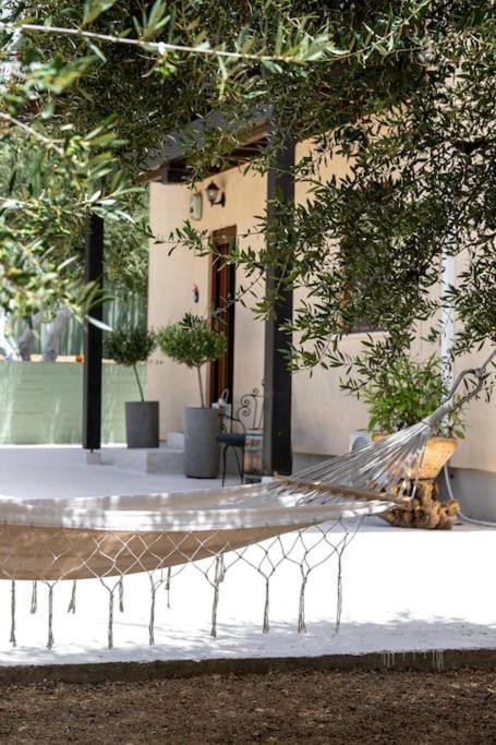 Olive Garden Villa Chania Chania  Exterior photo