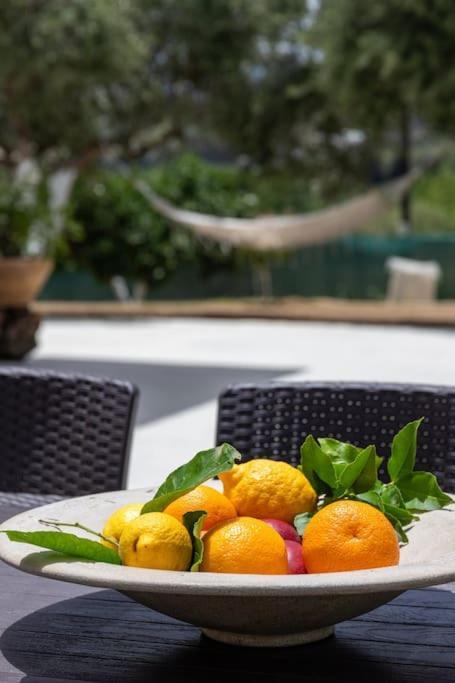 Olive Garden Villa Chania Chania  Exterior photo
